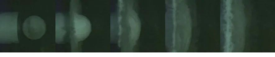 02132023133333.png