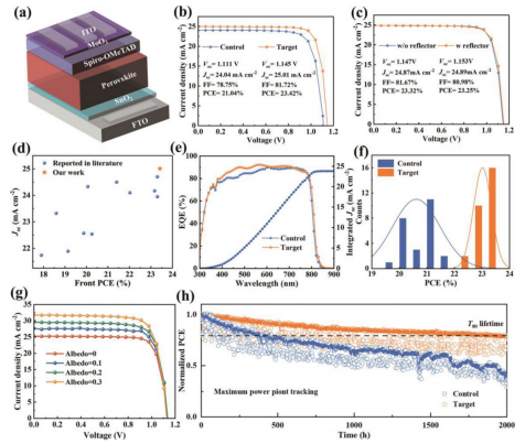 Photovoltaic performance of Bi-PSCs