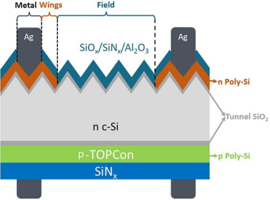 Schematic of a back-junction selective region bifacial TOPCon solar cell