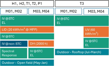Overview of the experimental procedure