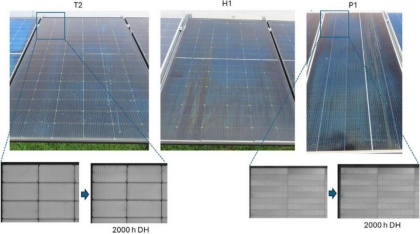 T2, H1, P1 modules DH aging 2000h after 5 months outdoor appearance inspection
