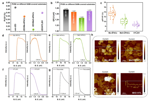 Effect of SAM on carrier dynamics