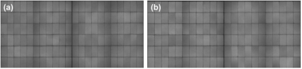 Module Electroluminescence (EL) Images