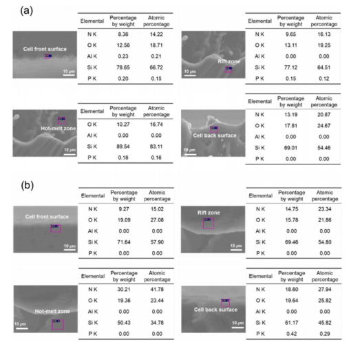 Battery SEM-EDS Images