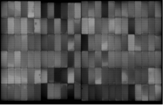 EL Image of Bifacial Module After PID Testing