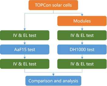 Experimental Roadmap