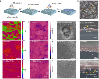 Characterization of SAMs Anchoring and Perovskite Deposition on Velvet Silicon