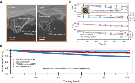 SEM Images and MPPT Curves of Perovskite/Silicon Tandem Cells