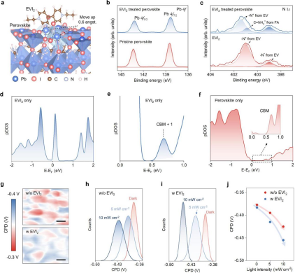 Interaction Between EVI₂ and Perovskite