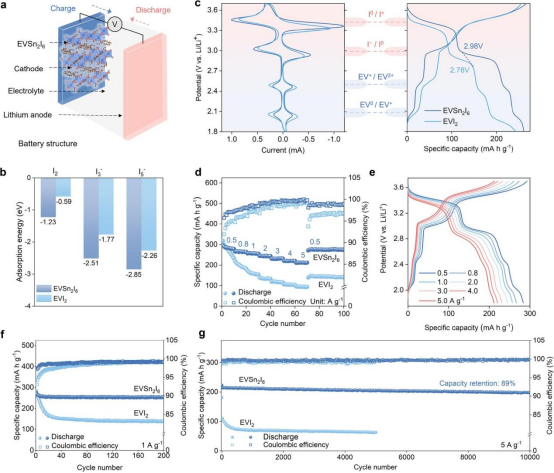 Electrochemical Performance of Rechargeable Batteries