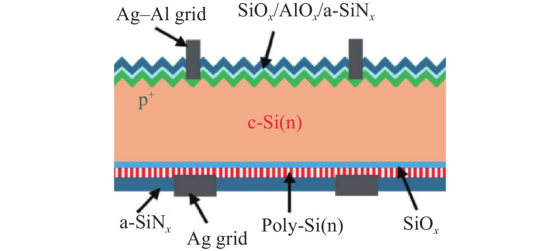 Schematic Diagram of TOPCon Cell Structure