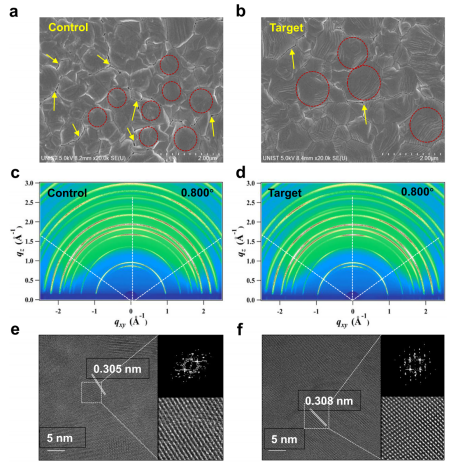 Morphology and Crystallinity Comparison