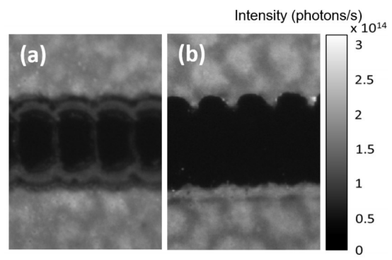 Images of the photoluminescence flux (photons/s) of perovskite samples