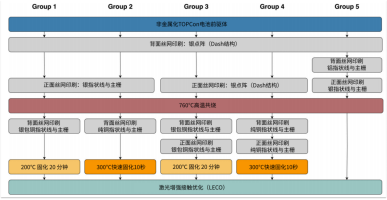 Process flow for preparation of silver-saving metallized TOPCon cells.png