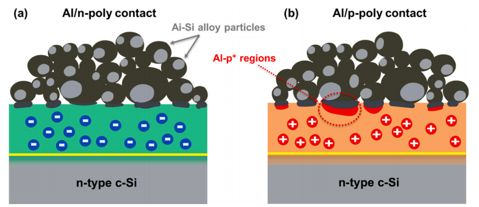 Fig. 6.png