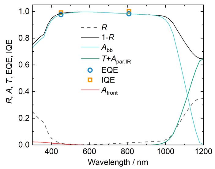 Figure 1.jpg