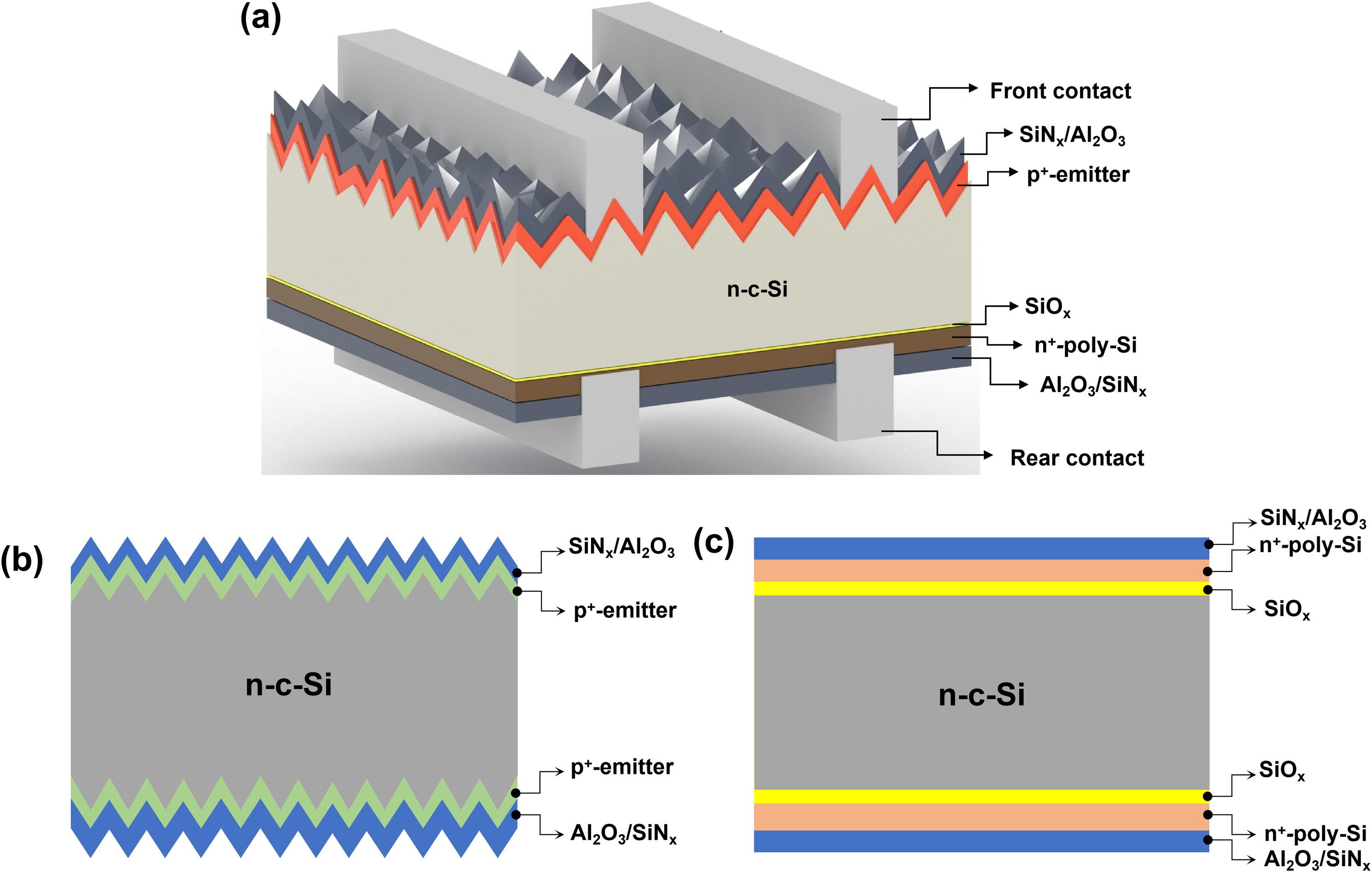 FIGURE 1.jpg